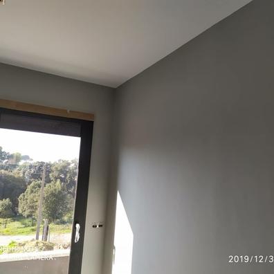 Portada de PINTOR ECONÓMICO con referencia a 45247