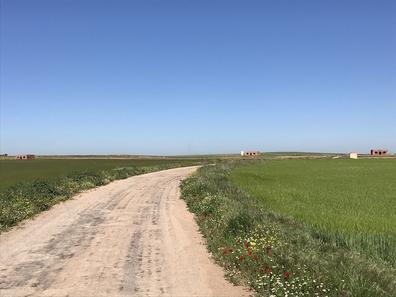 Portada de Localidad en la provincia de Ciudad Real. con referencia a 48172