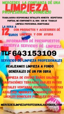 Portada de REALIZO LIMPIEZA A FONDO GENERAL con referencia a 48502