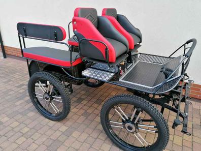 Portada de SE VENDE CARRO MARATÓN NUEVO con referencia a 47849