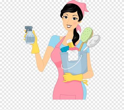 Portada de LIMPIEZA DOMESTICA con referencia a 44804