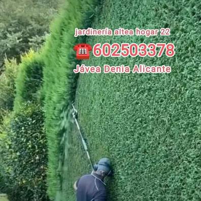 Portada de JARDINERO ALICANTE ALTEA con referencia a 19087
