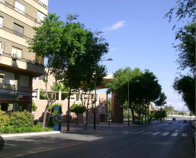 Portada de PASEO DE LA ESTACIÓN - P.º DE LA ESTACI con referencia a 33305