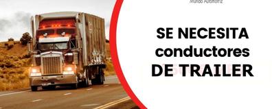 Portada de BUSCAMOS CHOFER DE TRAILER EN LUGO con referencia a 44807