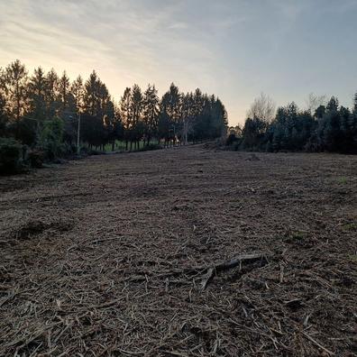 Portada de ALQUILER DE FINCA RUSTICA EN FIGUEROA con referencia a 50321