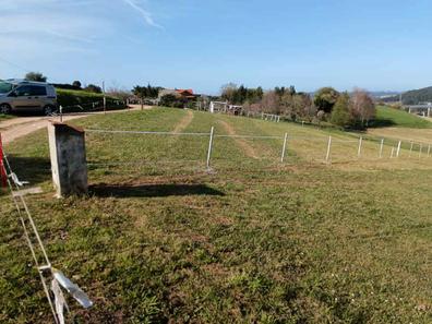Portada de ALQUILO O VENDO FINCAS DE RECREO,MOLLEDA con referencia a 33319